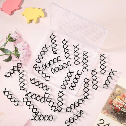 Casewin 20Pcs Spiral Hair Pins, Rotating Pin Non-Scratch round Tips, Twist Screw Hair Pin for Women Bun Hair Style DIY, Spiral Bobby Pins Black