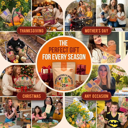 - 25 Summer Vegetable & Greens Seeds Varieties - 6,510+ Non GMO Heirloom Garden Seeds